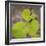 USA, Tennessee. Heart-Shaped Vine Leaves-Don Paulson-Framed Photographic Print