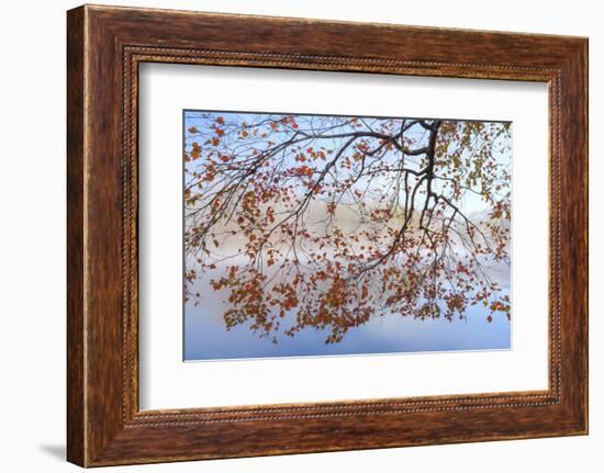 USA, Tennessee. Morning Fog on Indian Boundary Lake-Don Paulson-Framed Photographic Print
