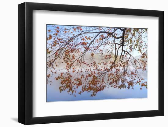 USA, Tennessee. Morning Fog on Indian Boundary Lake-Don Paulson-Framed Photographic Print