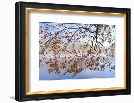 USA, Tennessee. Morning Fog on Indian Boundary Lake-Don Paulson-Framed Photographic Print
