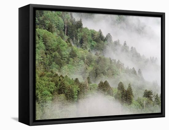 USA, Tennessee, North Carolina, Great Smoky Mountains National Park-Zandria Muench Beraldo-Framed Premier Image Canvas