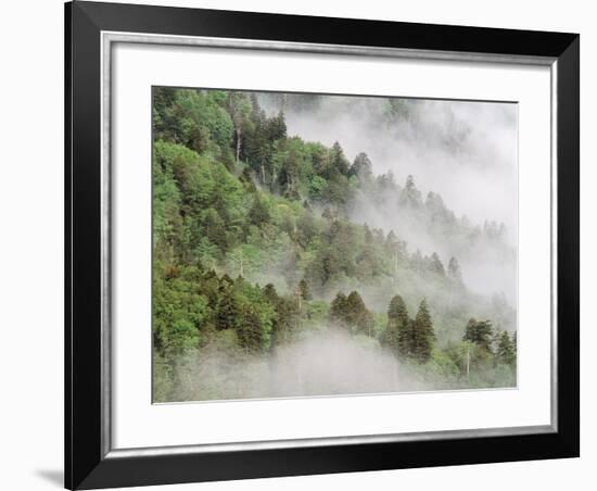 USA, Tennessee, North Carolina, Great Smoky Mountains National Park-Zandria Muench Beraldo-Framed Photographic Print