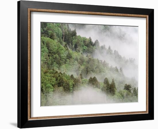 USA, Tennessee, North Carolina, Great Smoky Mountains National Park-Zandria Muench Beraldo-Framed Photographic Print