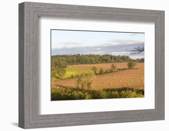 USA, Tennessee. Pastoral farm scene in morning light. Long shadows from hay bales-Trish Drury-Framed Photographic Print