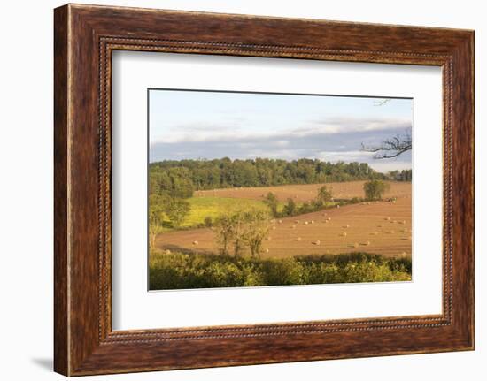 USA, Tennessee. Pastoral farm scene in morning light. Long shadows from hay bales-Trish Drury-Framed Photographic Print