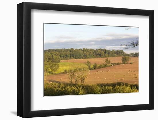 USA, Tennessee. Pastoral farm scene in morning light. Long shadows from hay bales-Trish Drury-Framed Photographic Print