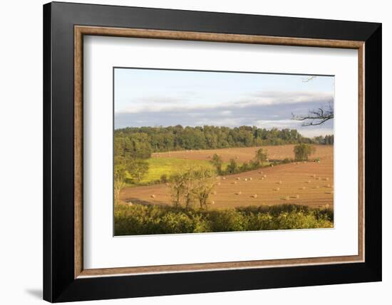 USA, Tennessee. Pastoral farm scene in morning light. Long shadows from hay bales-Trish Drury-Framed Photographic Print