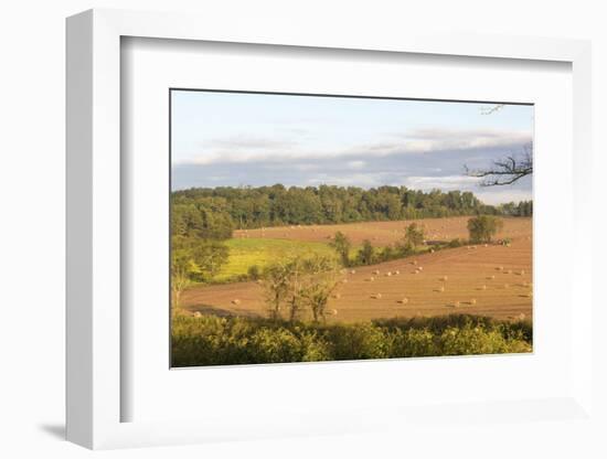 USA, Tennessee. Pastoral farm scene in morning light. Long shadows from hay bales-Trish Drury-Framed Photographic Print