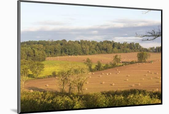 USA, Tennessee. Pastoral farm scene in morning light. Long shadows from hay bales-Trish Drury-Mounted Photographic Print