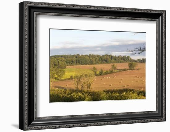 USA, Tennessee. Pastoral farm scene in morning light. Long shadows from hay bales-Trish Drury-Framed Photographic Print