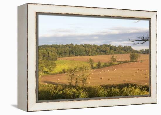 USA, Tennessee. Pastoral farm scene in morning light. Long shadows from hay bales-Trish Drury-Framed Premier Image Canvas