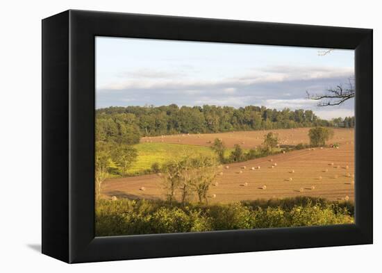 USA, Tennessee. Pastoral farm scene in morning light. Long shadows from hay bales-Trish Drury-Framed Premier Image Canvas