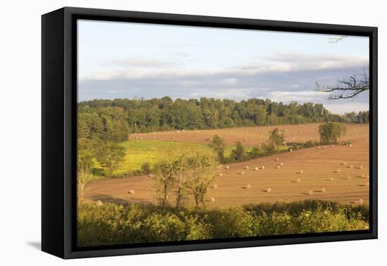 USA, Tennessee. Pastoral farm scene in morning light. Long shadows from hay bales-Trish Drury-Framed Premier Image Canvas