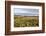 USA, Tennessee. Pumpkin patch and agricultural fields wiyh hay bales in morning light-Trish Drury-Framed Photographic Print