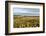 USA, Tennessee. Pumpkin patch and agricultural fields wiyh hay bales in morning light-Trish Drury-Framed Photographic Print