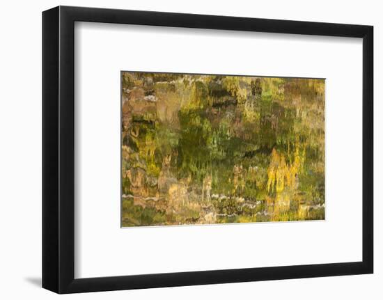 USA, Tennessee. Reflections along the Little River in the Smoky Mountains.-Joanne Wells-Framed Photographic Print