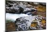 USA, Tennessee. Reflections along the Little River in the Smoky Mountains.-Joanne Wells-Mounted Photographic Print