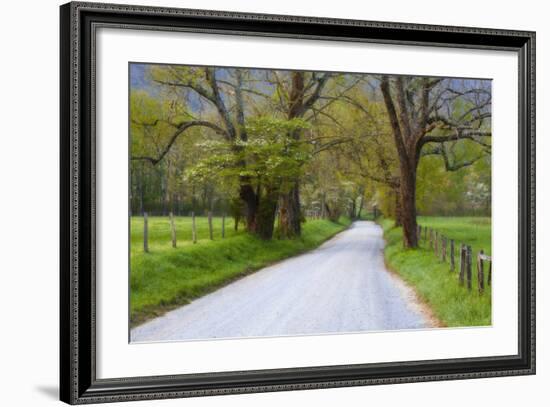 USA, Tennessee, Sparks Lane in Cades Cove in the spring.-Joanne Wells-Framed Photographic Print