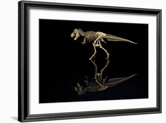 USA, Tennessee. T-Rex Skeleton Replica Reflection-Jaynes Gallery-Framed Photographic Print