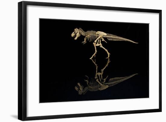 USA, Tennessee. T-Rex Skeleton Replica Reflection-Jaynes Gallery-Framed Photographic Print