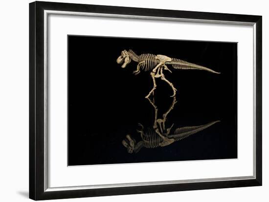 USA, Tennessee. T-Rex Skeleton Replica Reflection-Jaynes Gallery-Framed Photographic Print