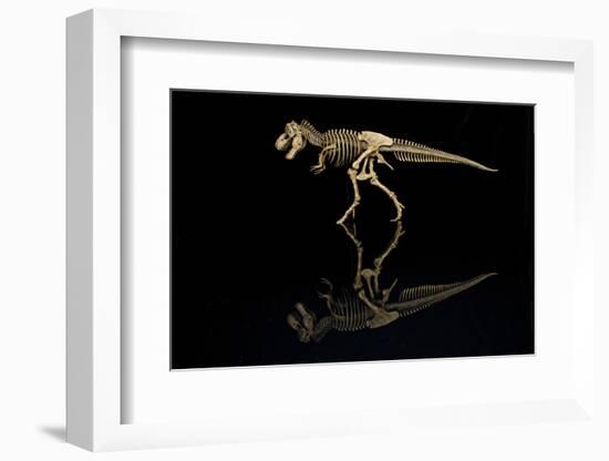 USA, Tennessee. T-Rex Skeleton Replica Reflection-Jaynes Gallery-Framed Photographic Print