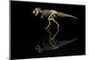 USA, Tennessee. T-Rex Skeleton Replica Reflection-Jaynes Gallery-Mounted Photographic Print