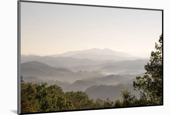 USA, Tennessee. View to Smoky Mountains from Foothills Parkway. Fog in valleys early morning-Trish Drury-Mounted Photographic Print