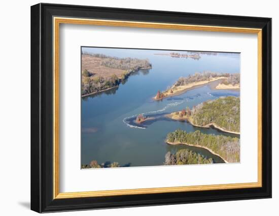 USA, Tennessee. White pelicans curve around islet Tennessee River, Hiwassee Wildlife Refuge-Trish Drury-Framed Photographic Print