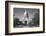 USA, Texas, Austin. State Capitol Building Dome-Dennis Flaherty-Framed Photographic Print