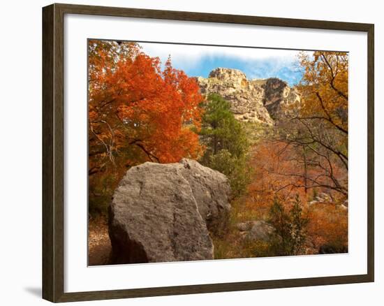 Usa. Texas, Guadalupe Mountain, Mckittrick Canyon Hiking Trail-Bernard Friel-Framed Photographic Print