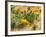 Usa. Texas, Guadalupe Mountain, Prickly Pear Cactus-Bernard Friel-Framed Photographic Print