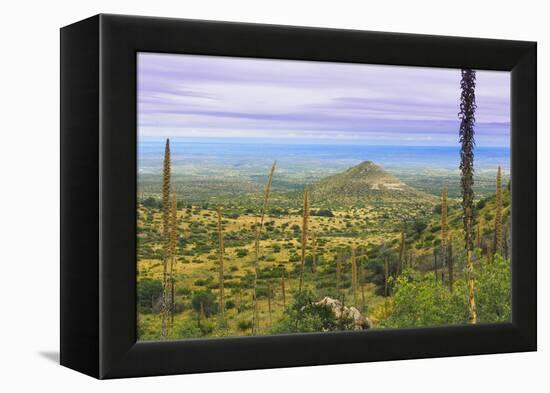 USA, Texas, Guadalupe Mountains NP. Landscape with Small Mountain-Don Paulson-Framed Premier Image Canvas