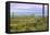 USA, Texas, Guadalupe Mountains NP. Landscape with Small Mountain-Don Paulson-Framed Premier Image Canvas