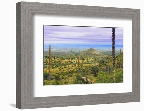 USA, Texas, Guadalupe Mountains NP. Landscape with Small Mountain-Don Paulson-Framed Photographic Print