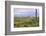 USA, Texas, Guadalupe Mountains NP. Landscape with Small Mountain-Don Paulson-Framed Photographic Print