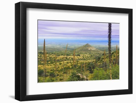 USA, Texas, Guadalupe Mountains NP. Landscape with Small Mountain-Don Paulson-Framed Photographic Print