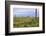 USA, Texas, Guadalupe Mountains NP. Landscape with Small Mountain-Don Paulson-Framed Photographic Print