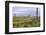 USA, Texas, Guadalupe Mountains NP. Landscape with Small Mountain-Don Paulson-Framed Photographic Print