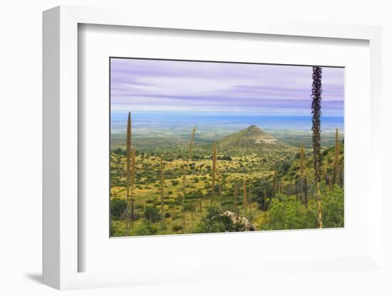 USA, Texas, Guadalupe Mountains NP. Landscape with Small Mountain-Don Paulson-Framed Photographic Print