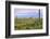 USA, Texas, Guadalupe Mountains NP. Landscape with Small Mountain-Don Paulson-Framed Photographic Print