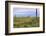 USA, Texas, Guadalupe Mountains NP. Landscape with Small Mountain-Don Paulson-Framed Photographic Print