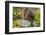 USA, Texas, Guadalupe Mountains NP. Scenic with Texas Madrona Tree-Don Paulson-Framed Photographic Print