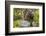 USA, Texas, Guadalupe Mountains NP. Scenic with Texas Madrona Tree-Don Paulson-Framed Photographic Print