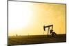 USA, Texas. Martin County, Pumpjack on cotton field at sunset-Alison Jones-Mounted Photographic Print