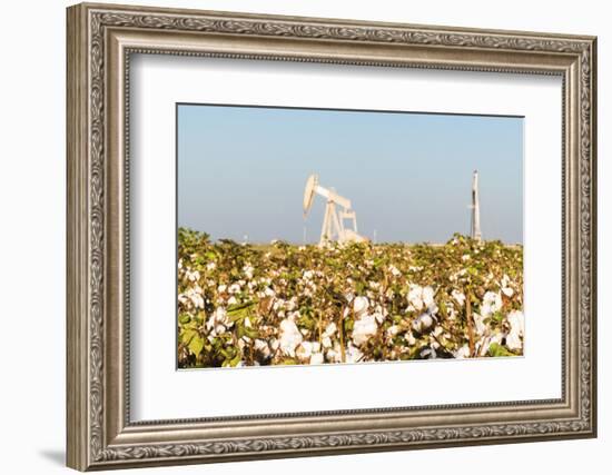 USA, Texas. Martin County, Pumpjack on cotton field-Alison Jones-Framed Photographic Print