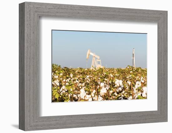 USA, Texas. Martin County, Pumpjack on cotton field-Alison Jones-Framed Photographic Print