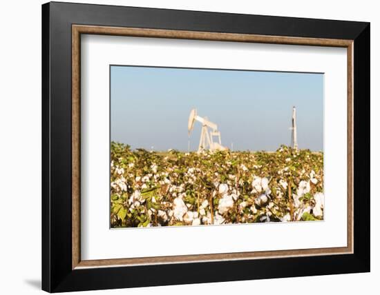 USA, Texas. Martin County, Pumpjack on cotton field-Alison Jones-Framed Photographic Print