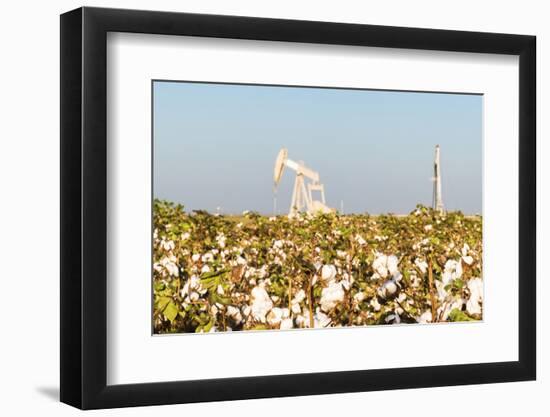 USA, Texas. Martin County, Pumpjack on cotton field-Alison Jones-Framed Photographic Print