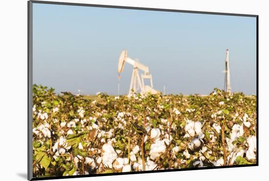 USA, Texas. Martin County, Pumpjack on cotton field-Alison Jones-Mounted Photographic Print